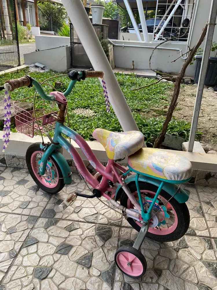 Sepeda anak kecil