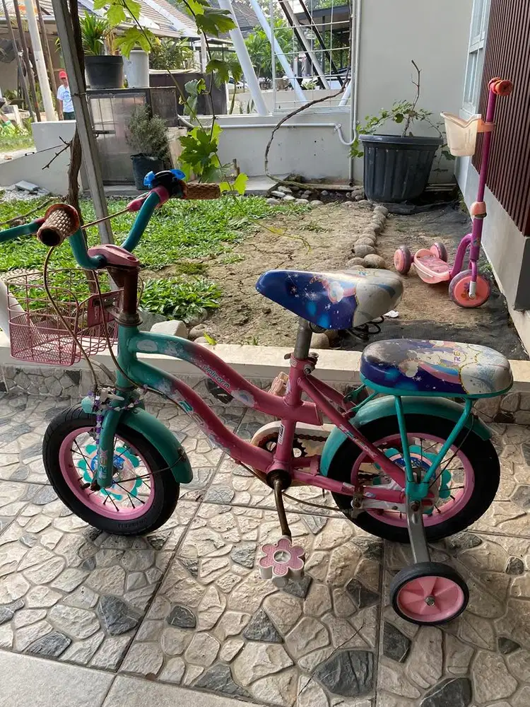 Sepeda anak kecil @