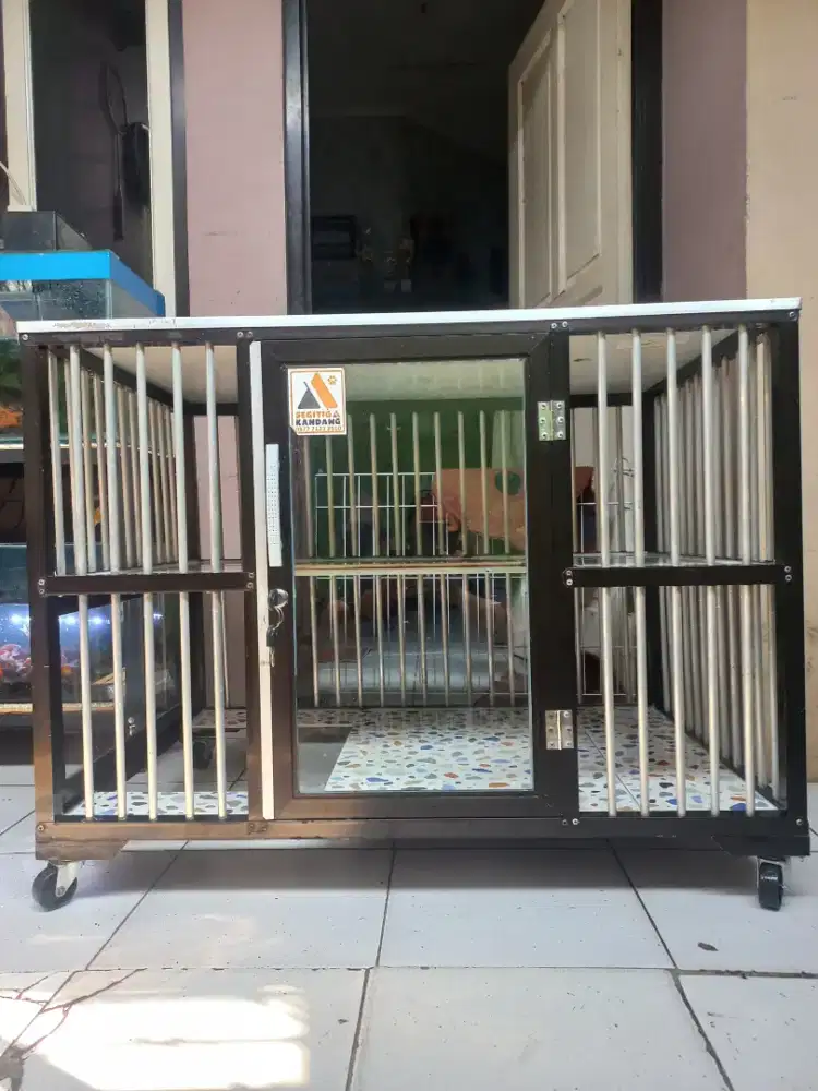 Kandang kucing kokoh