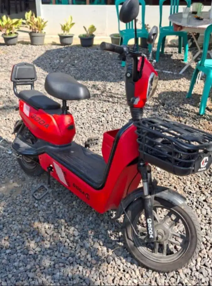 Molis Goda 140D