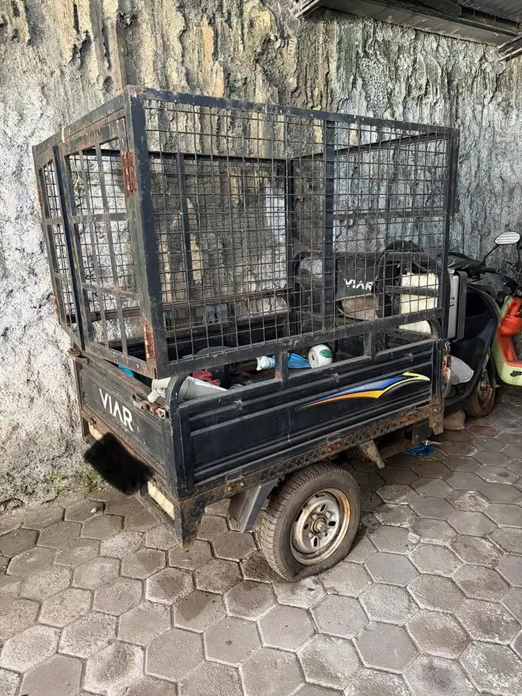 Motor Viar 3 roda