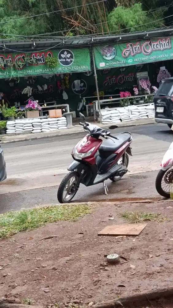 Dijual beat karbu merah