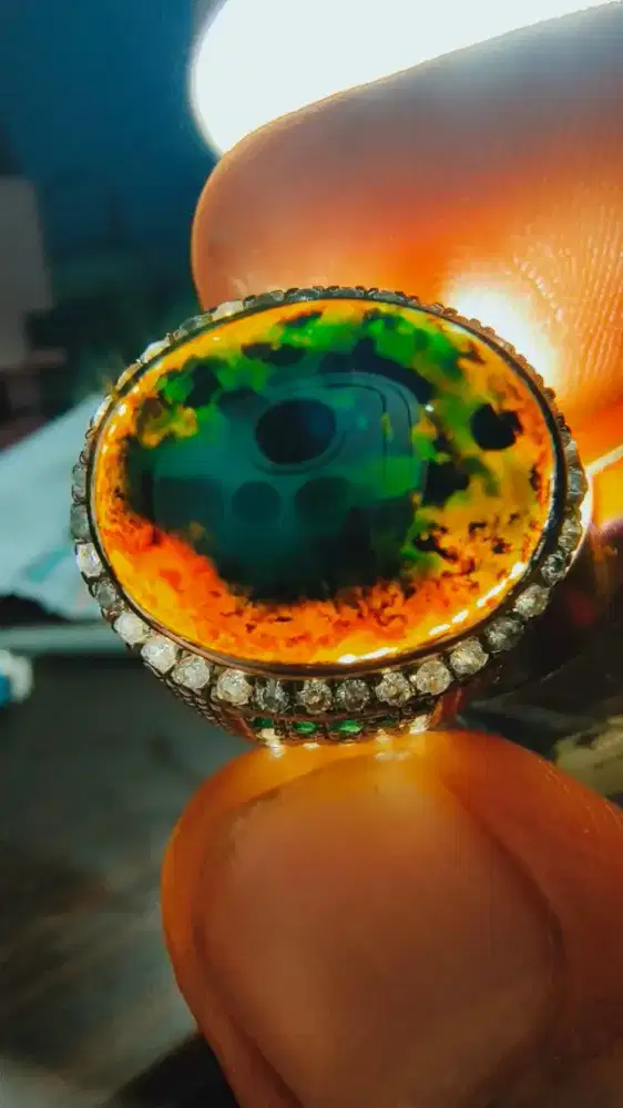 Bacan coklat merah