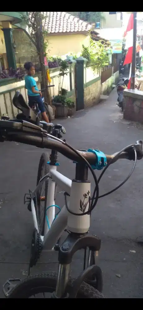Exotic Mtb Uk 26