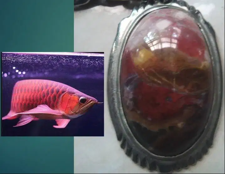 Kalung Liontin Batu Pancawarna Garut Big Size Gambar mirip Ikan Arwana