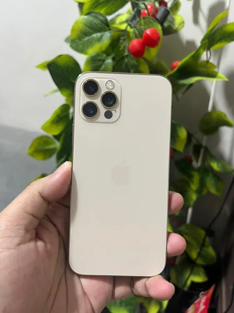 IPHONE 12 PRO 512gb ALL OPERATOR
