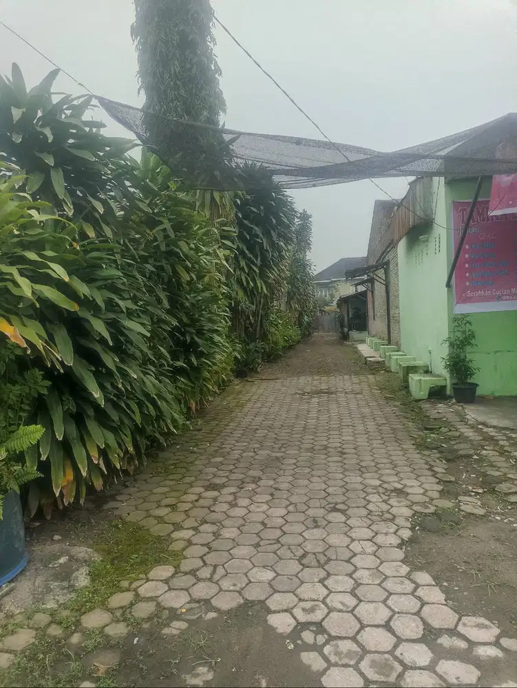 Menerima Terapis Wanita (tersedia mess)
