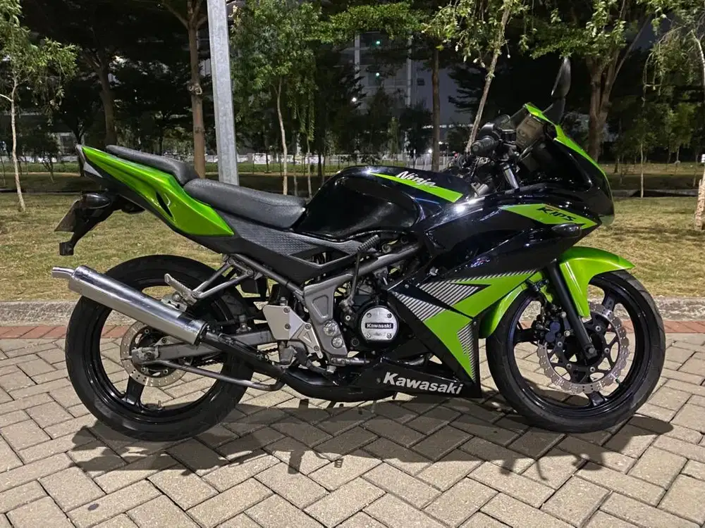 ninja rr 2015 original std