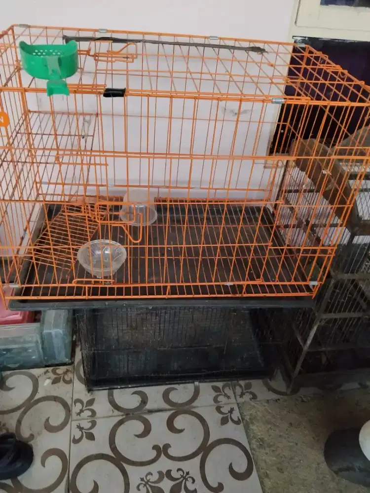 2 Buah Kandang Kucing dan 2 Buah Kandang Burung
