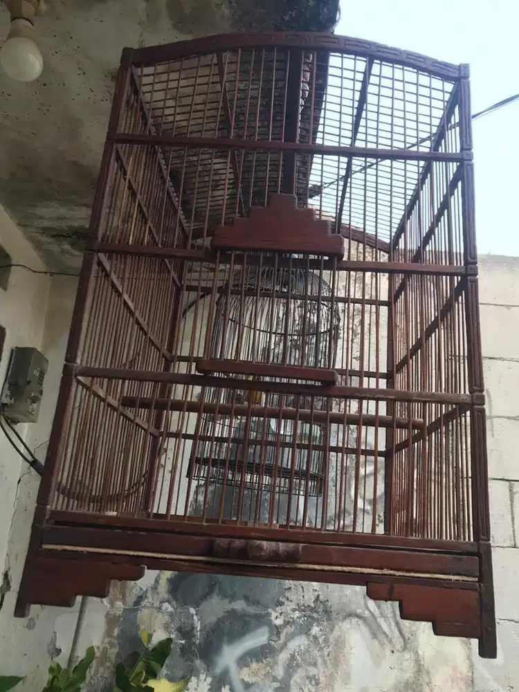 Sangkar jati kramba mandi kandang lovebird