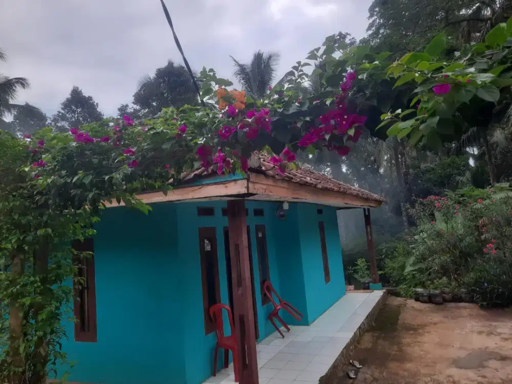 RUMAH DAN KEBUN