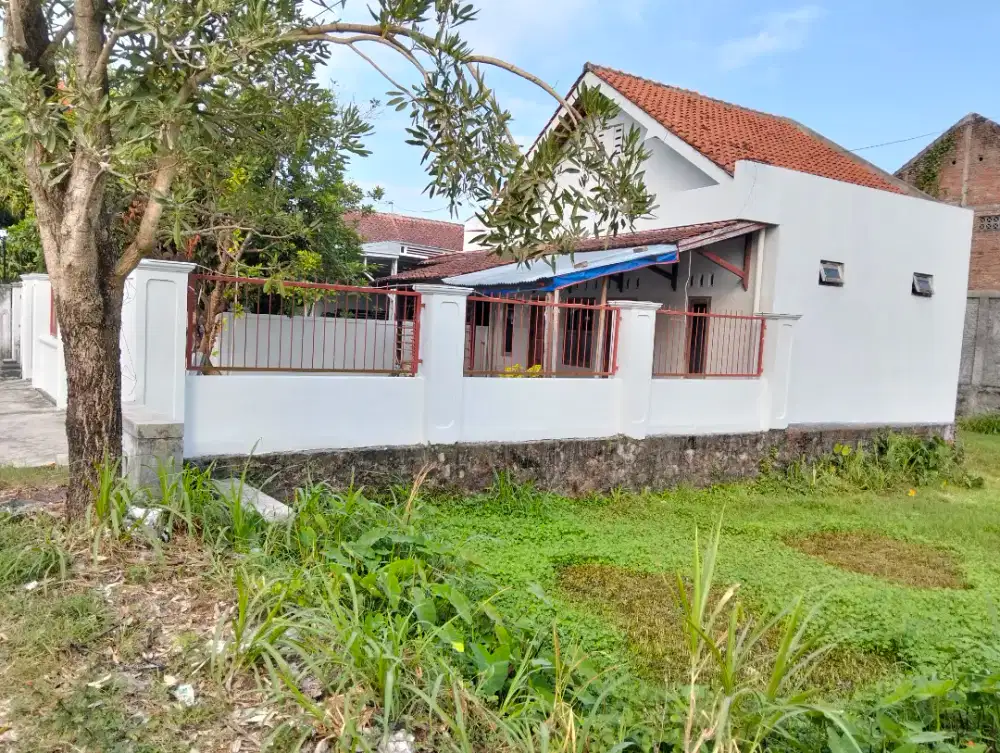 Disewakan/ indekos putri