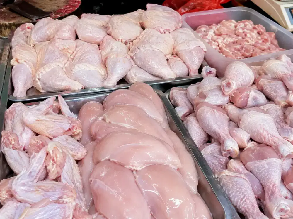 DAGING AYAM SEGAR FRESH