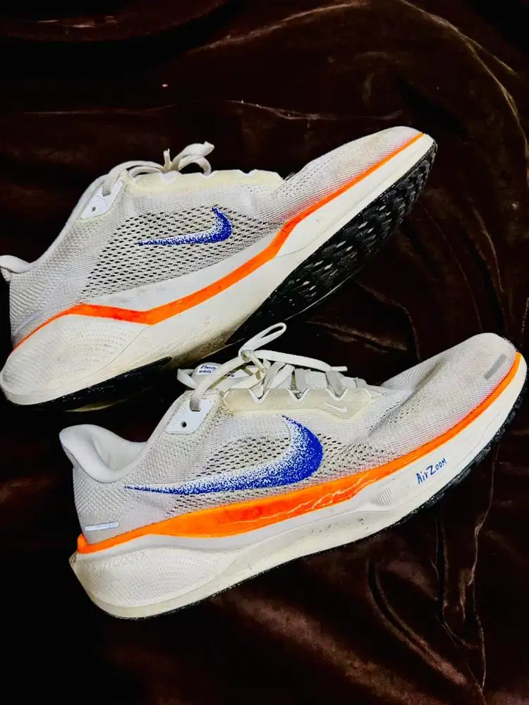 Nike Pegasus 41 Blueprint