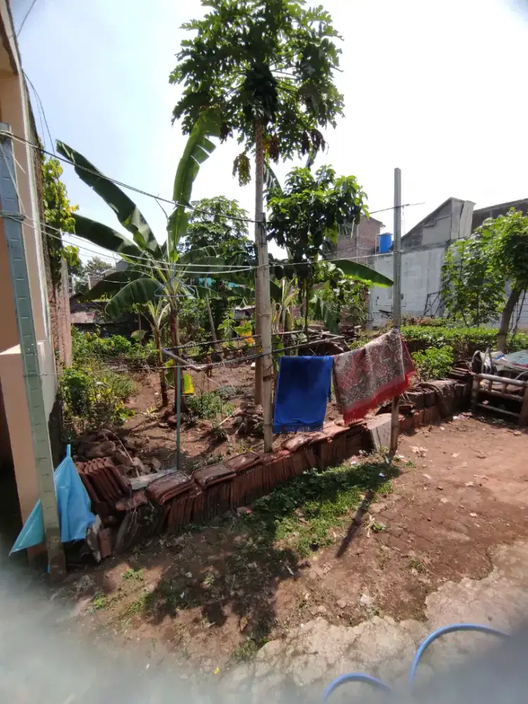 Tanah di jual nego tipis