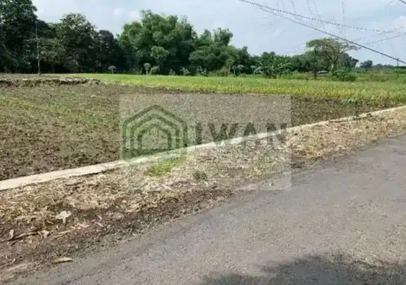 Tanah Luas & Murah Hadap Jalan Aspal