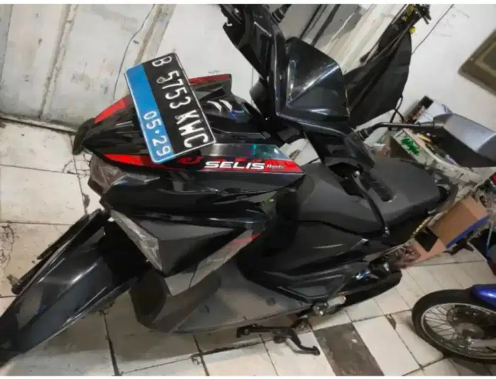 Jual Motor Listik Selis Agats 2024