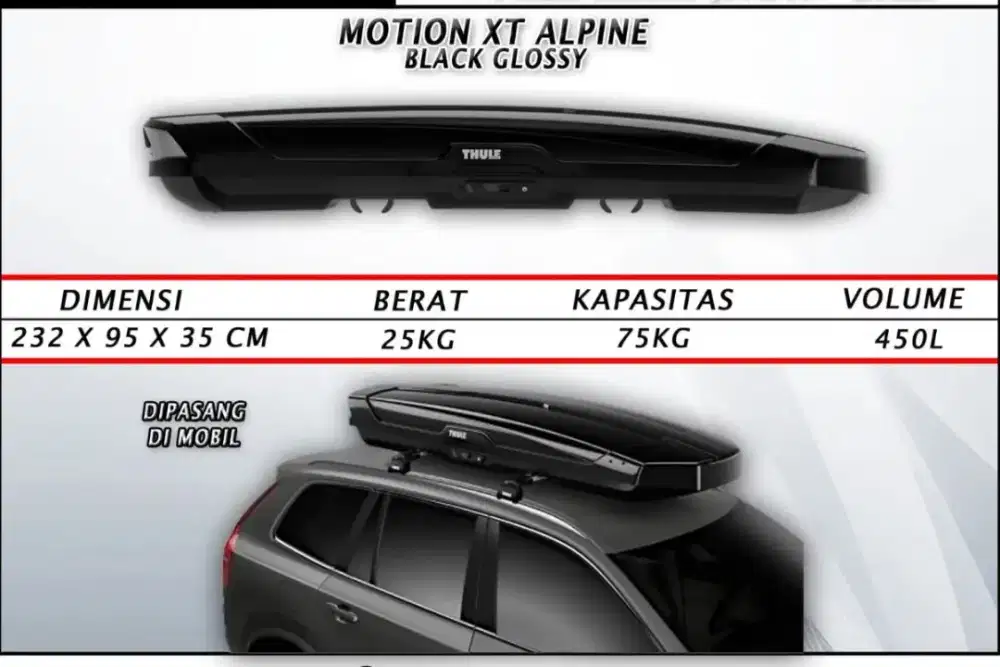 Thule Roof Box Motion XT Alpine