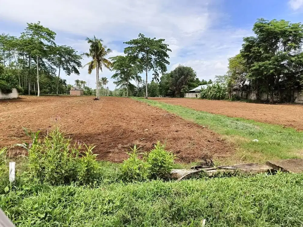 TANAH MURAH KAMPUS ITERA DEKAT JALUR DUA DP MURAH BISA DICICIL