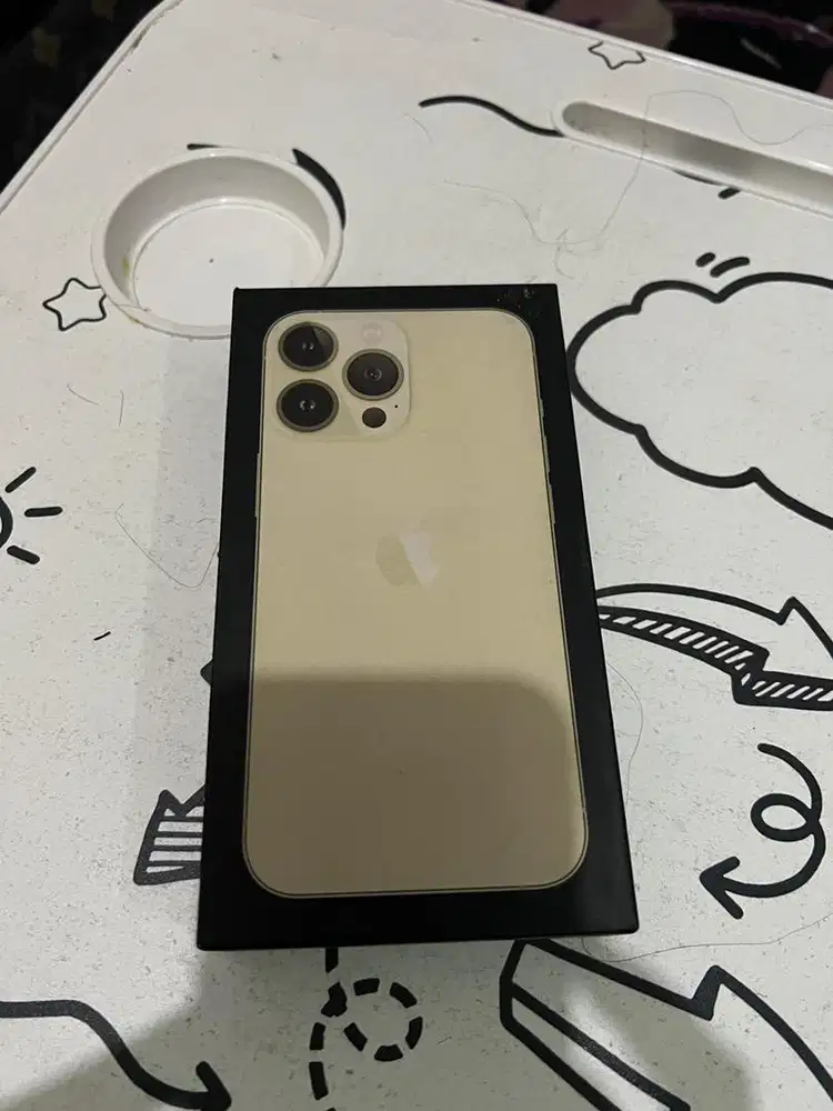Iphone 13 pro inter