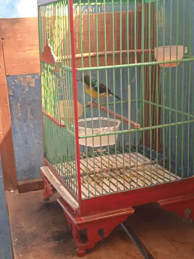 Jual Kandang Kotak No 4