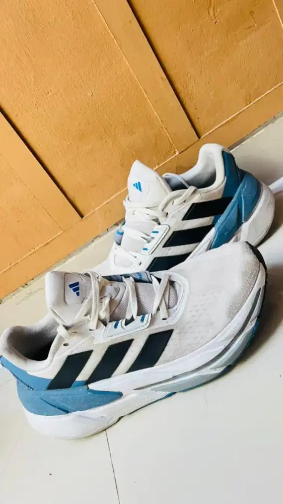 Sepatu Adidas Original