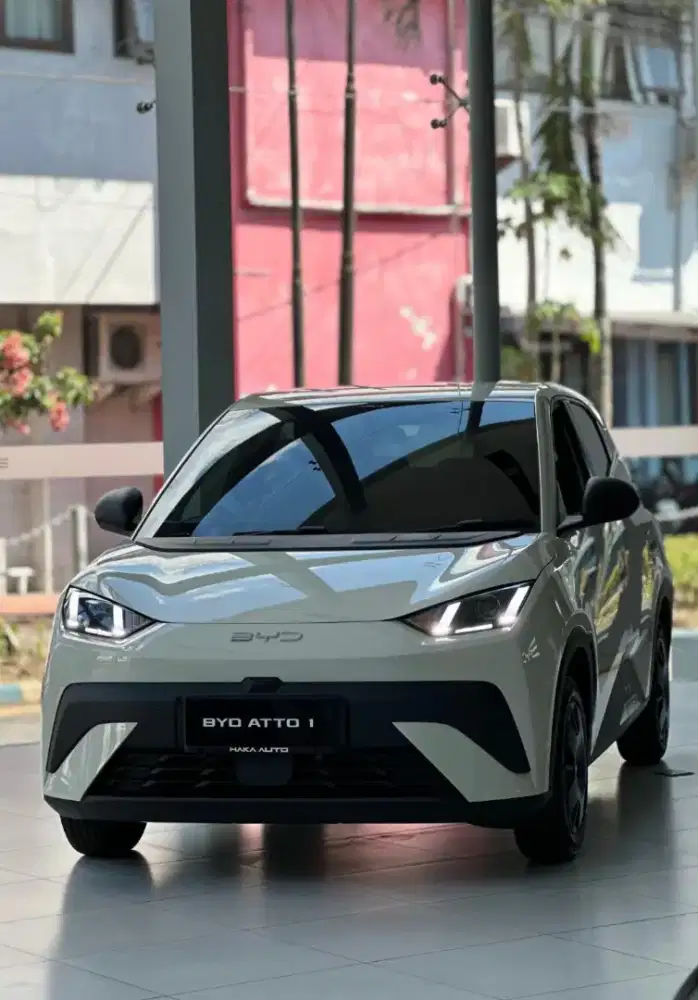 BYD Atto 1 Standart