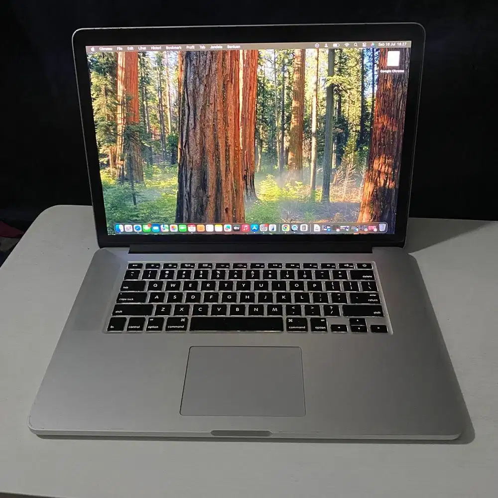 Macbook pro 15 inch 2015 retina display