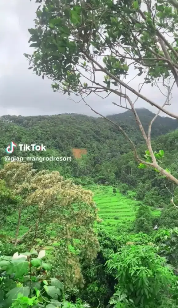 JUAL TANAH DI LOKASI TEMPAT WISATA