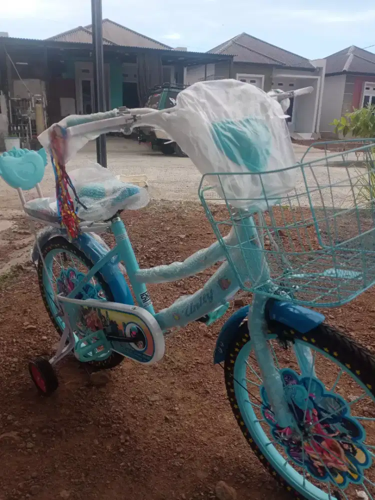 Dijual sepeda anak