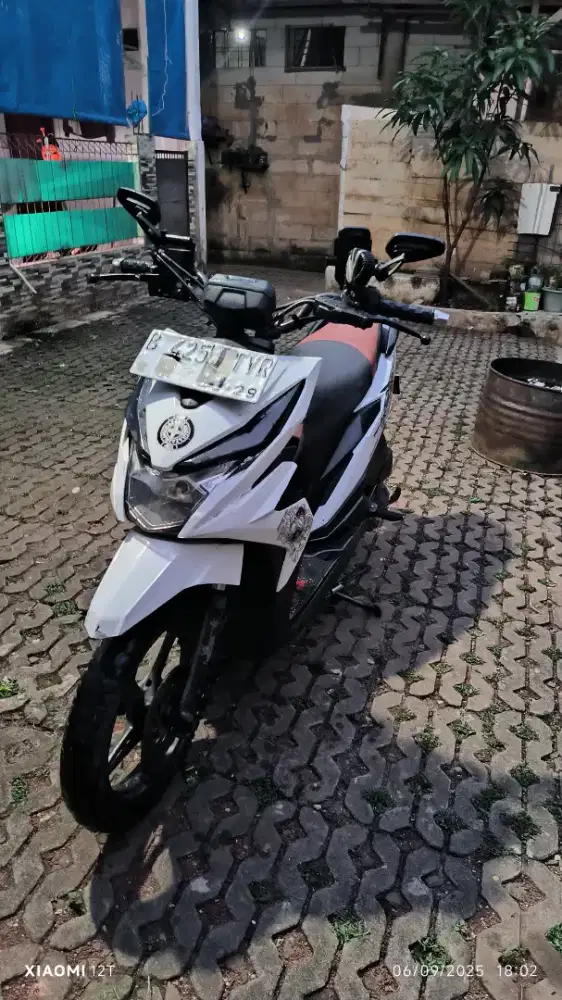 Jual beat street 2018
