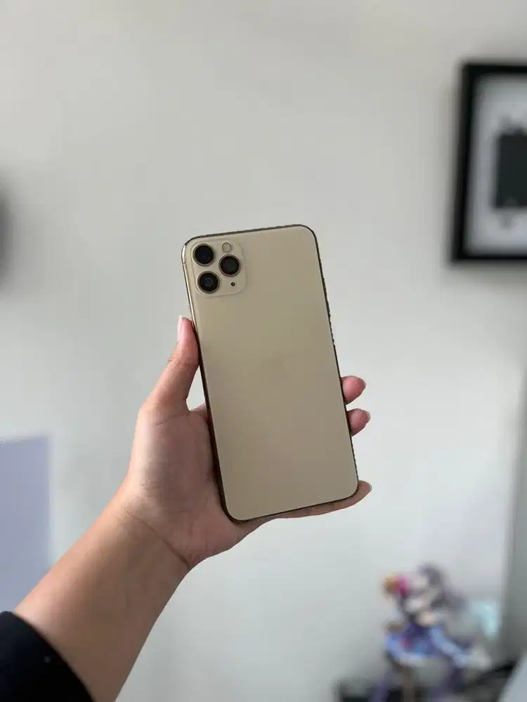 iPhone 11 Pro Max 64Gb Beacukai