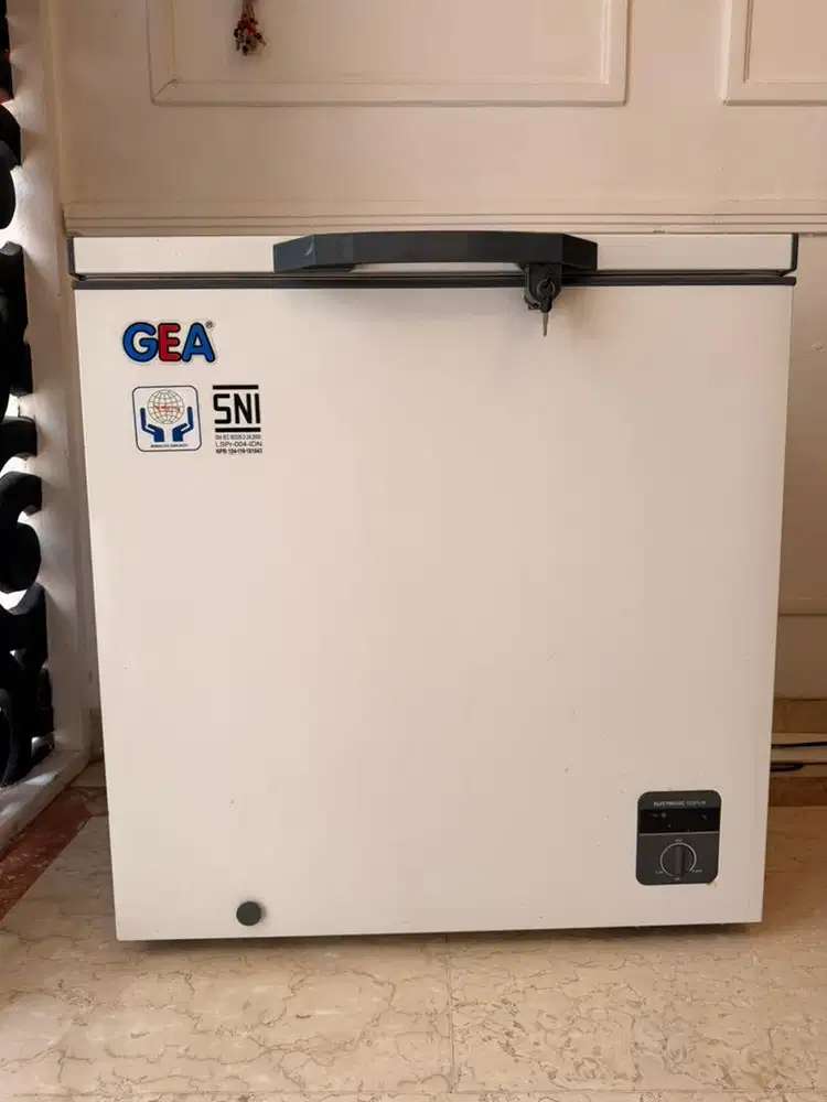 FREZEER GEA SECOND