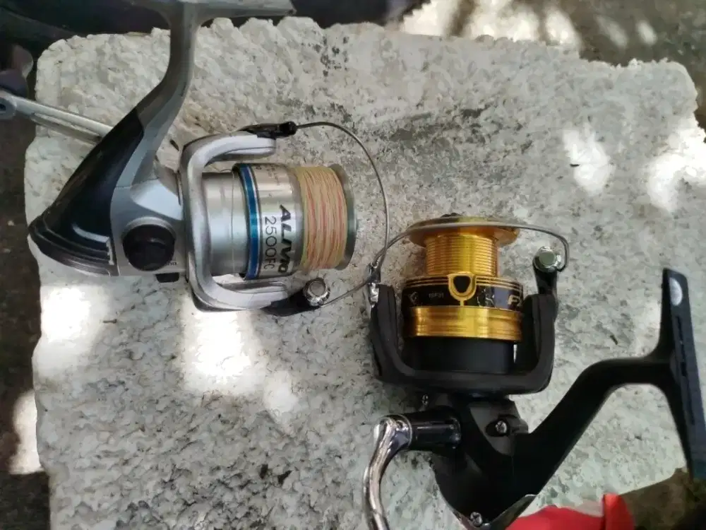 Reel Pancing Shimano
