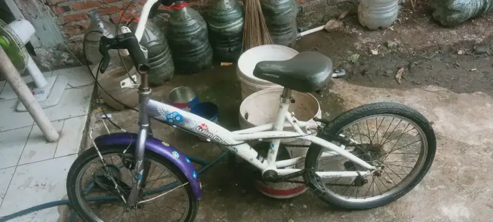 Sepeda anak ban 20 merek win cycle