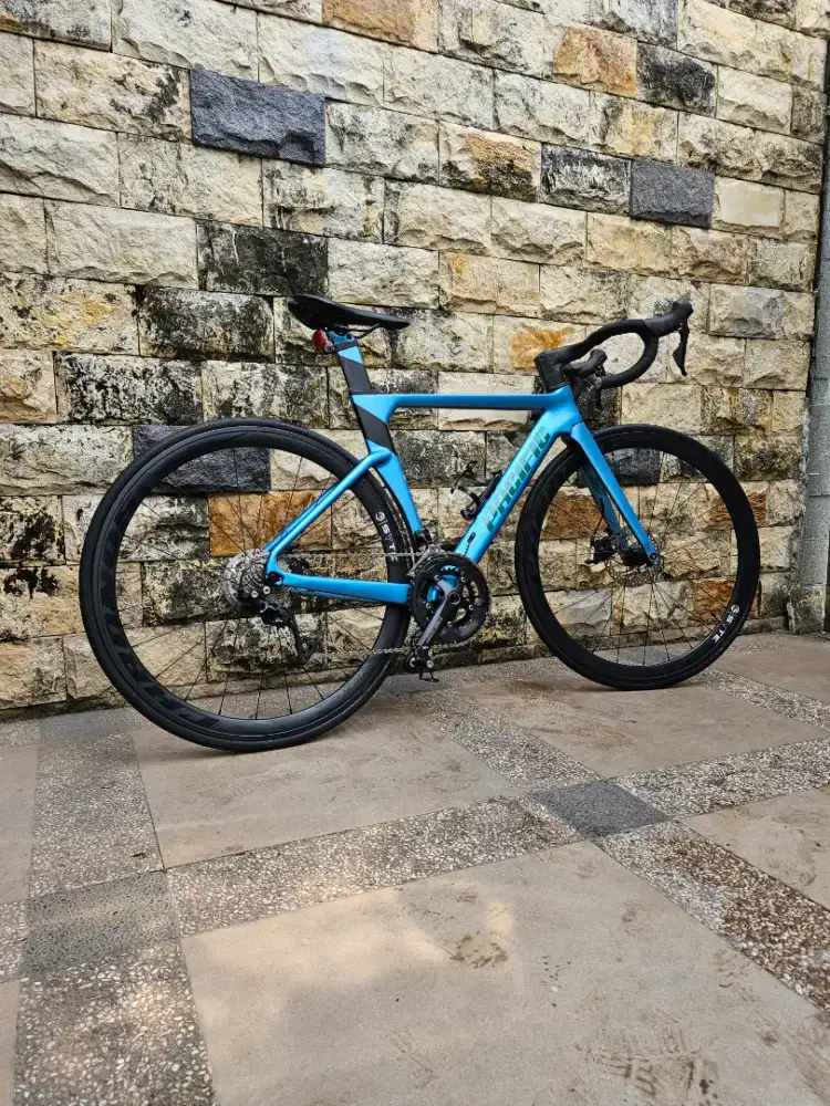 Sepeda ROADBIKE  MAGENTA CARBON
