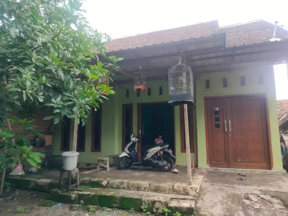 Jasa tukang bangunan