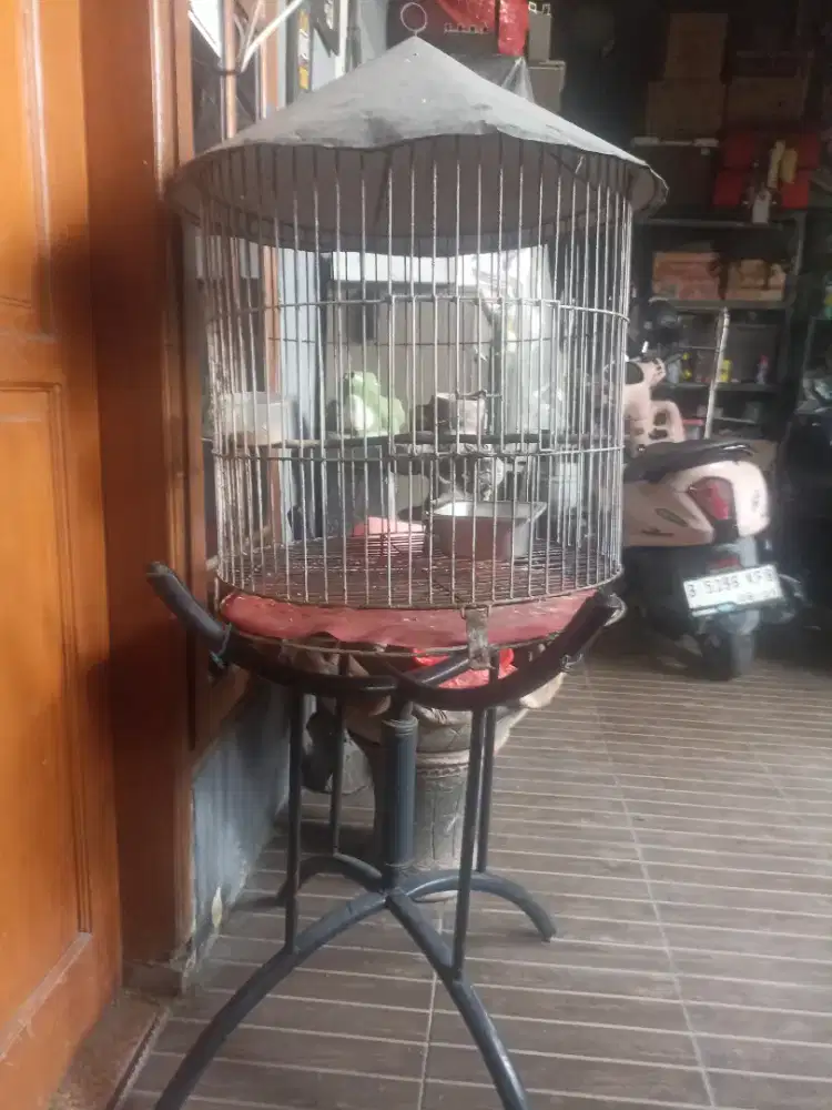 Jual cepat kandang burung sama kandang kucing dan sama kandang hamster
