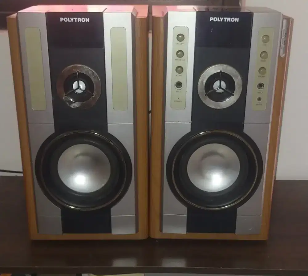 Speaker Polytron PAS 61M