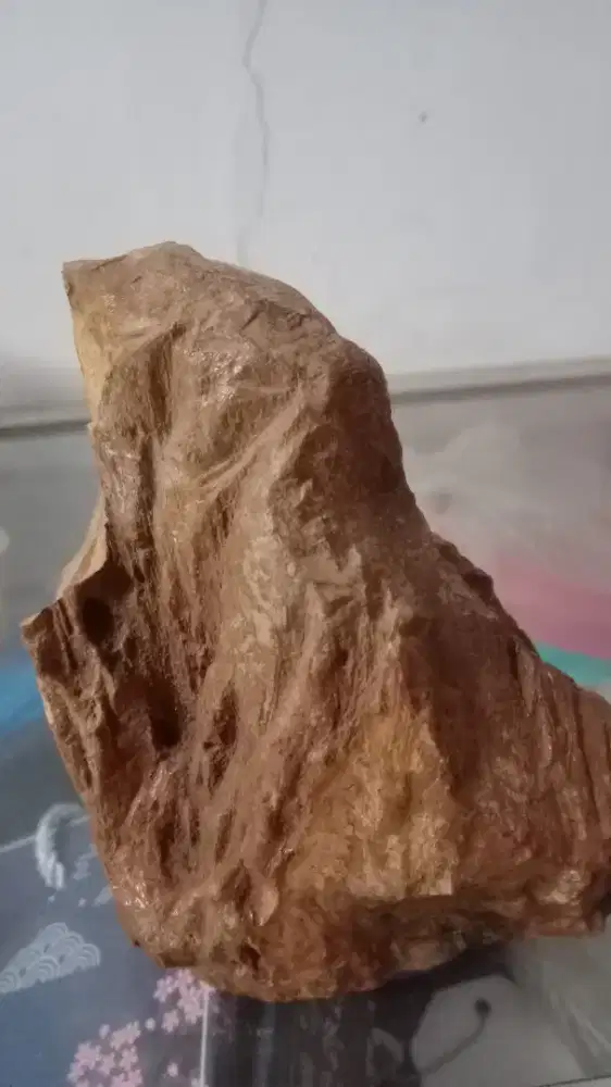 Kayu fosil jadi betuan