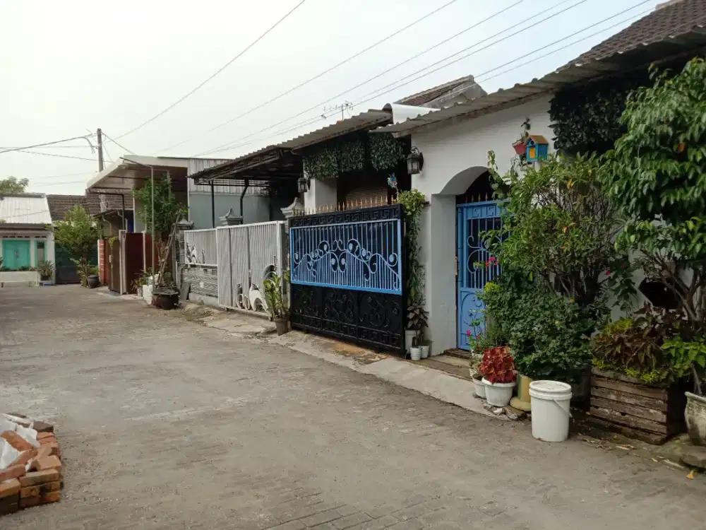 Disewakan rumah Pungging ( 25jt/2 thn )