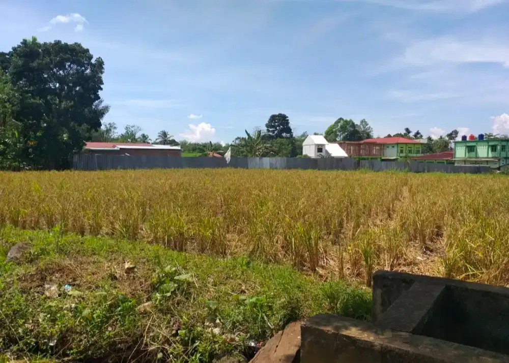 Dijual tanah dan sawah produktif panen setiap tahun  tanpa perantara