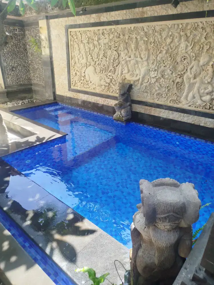 pool maintenace