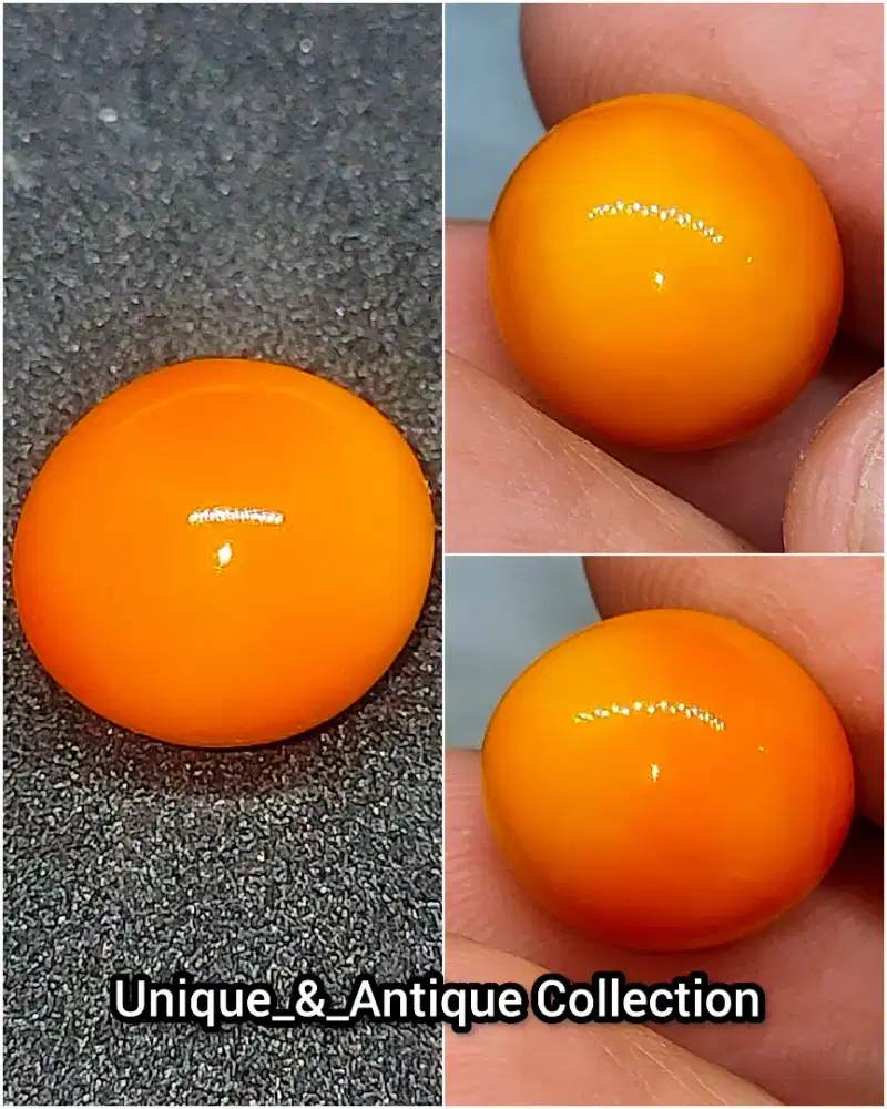 Mutiara Alam Kepala Kambing Cassis Pearl Vivid Orange Melo Mustika