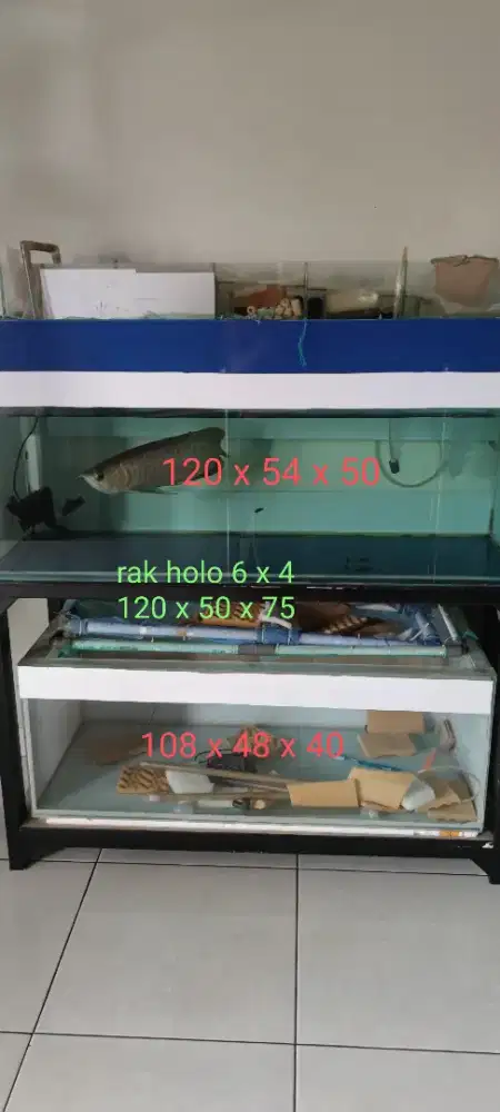 Aquarium atas kaca 12 mili yang bawah kaca 5 mili