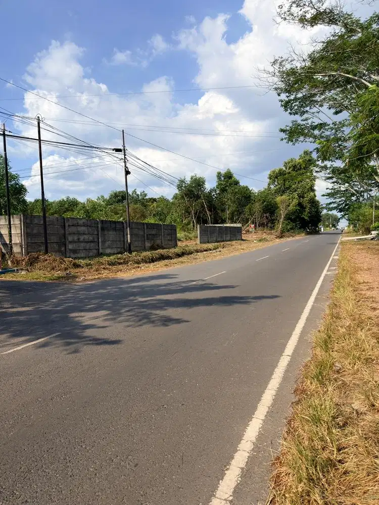 Disewakan Tanah Luas dan Lokasi Strategis