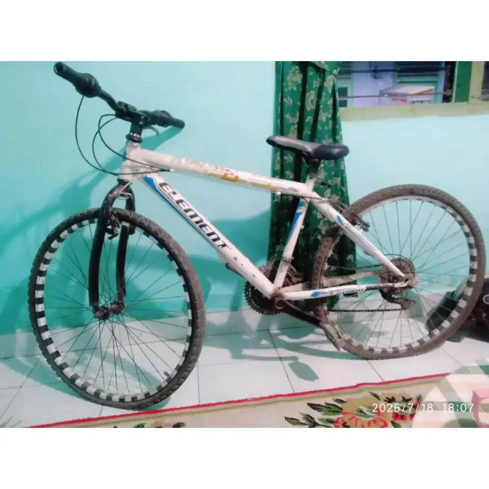 Sepeda Element Dewasa/Remaja
