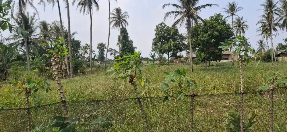 Jual tanah kosong