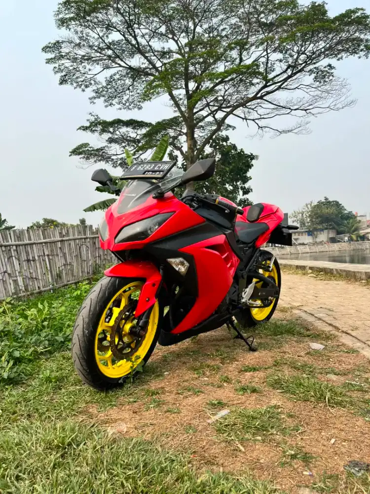 Ninja 250 fi 2cylinder