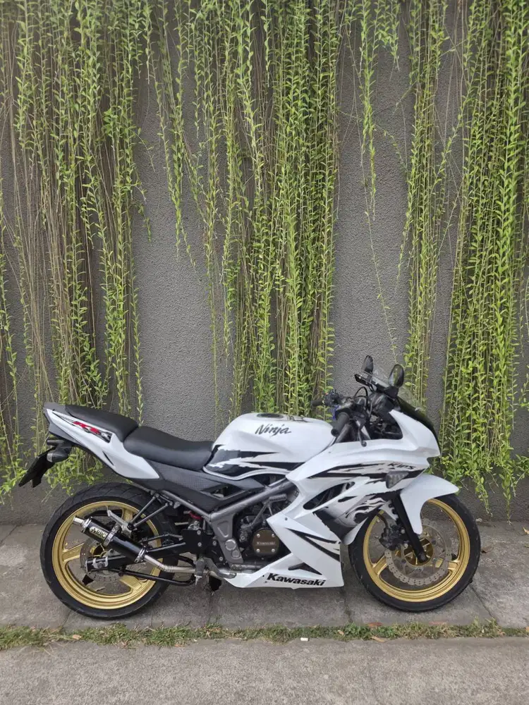 Kawasaki Ninja RR